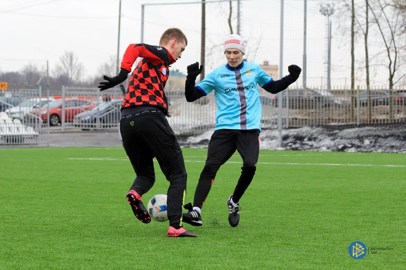 IMG_7409.jpg IMG_7409.jpg