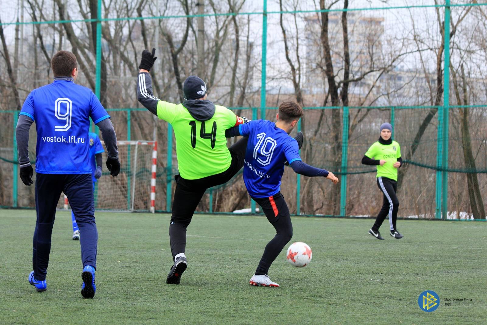 IMG_7565.jpg IMG_7565.jpg