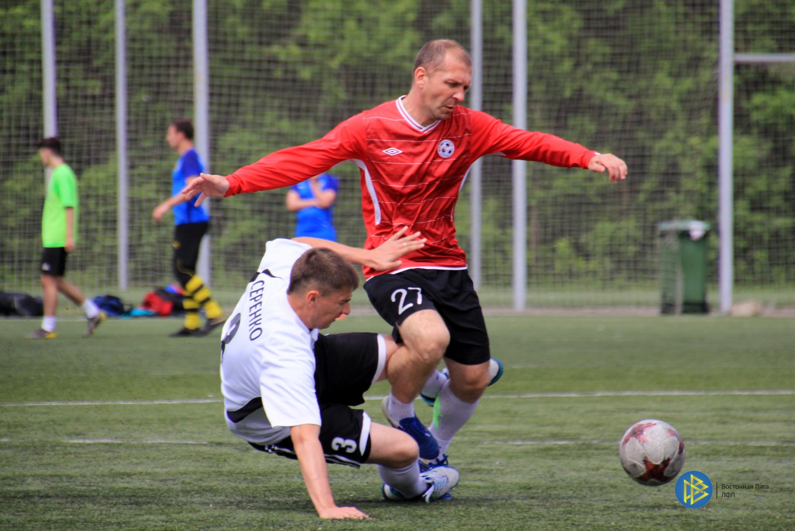 IMG_4008.jpg