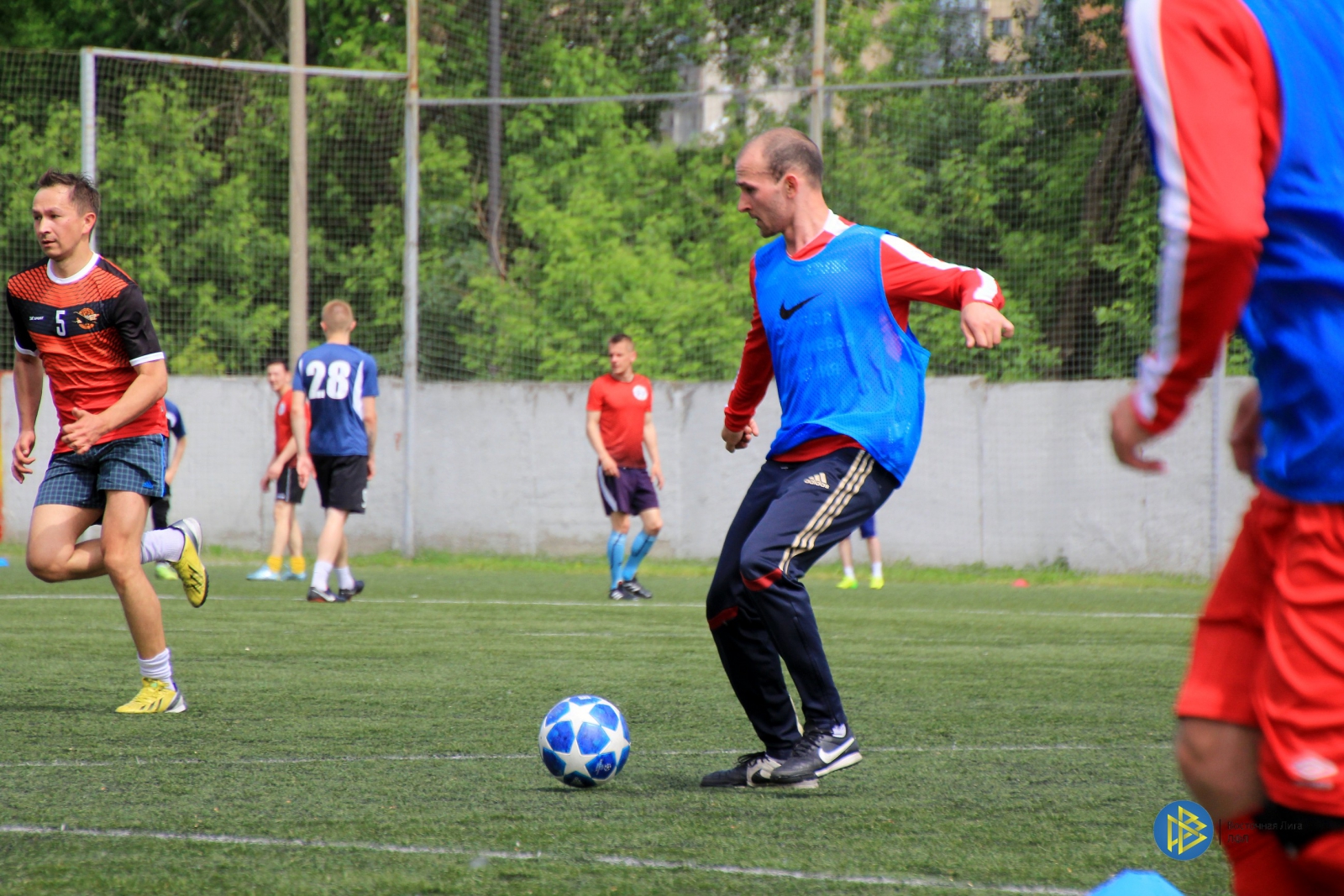 IMG_3613.jpg