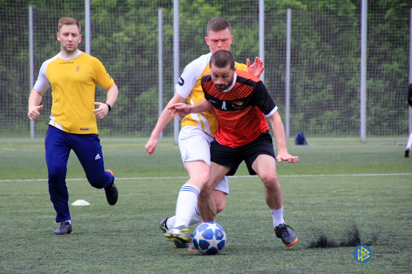 IMG_4544.jpg