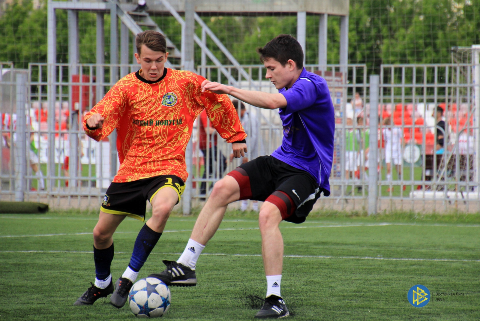 IMG_4750.jpg