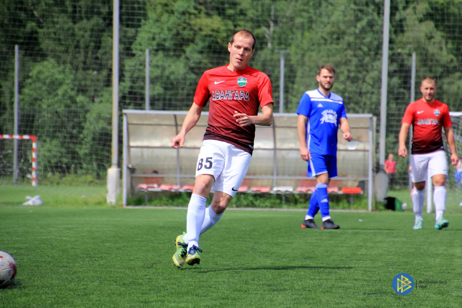 IMG_3690.jpg
