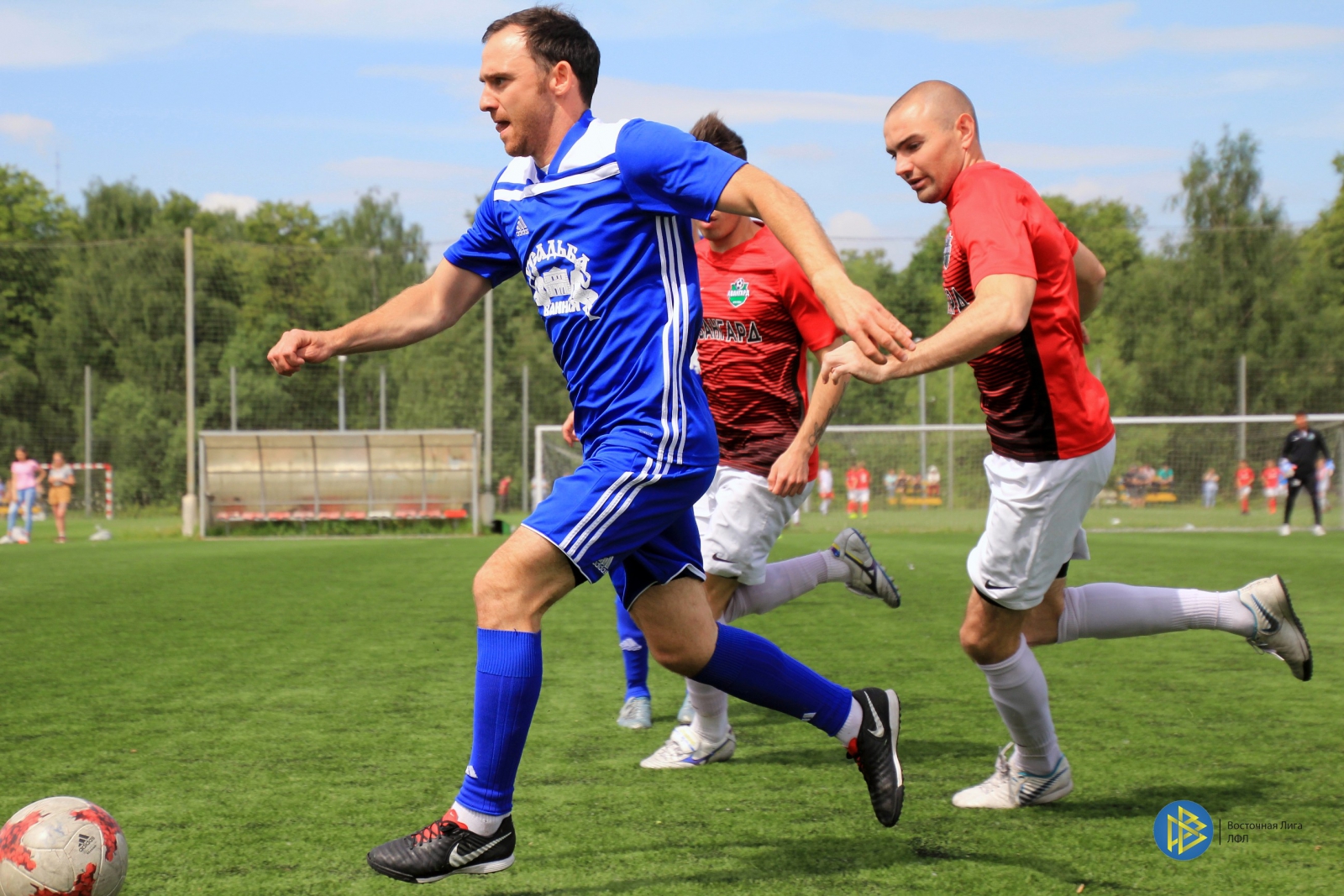 IMG_3662.jpg