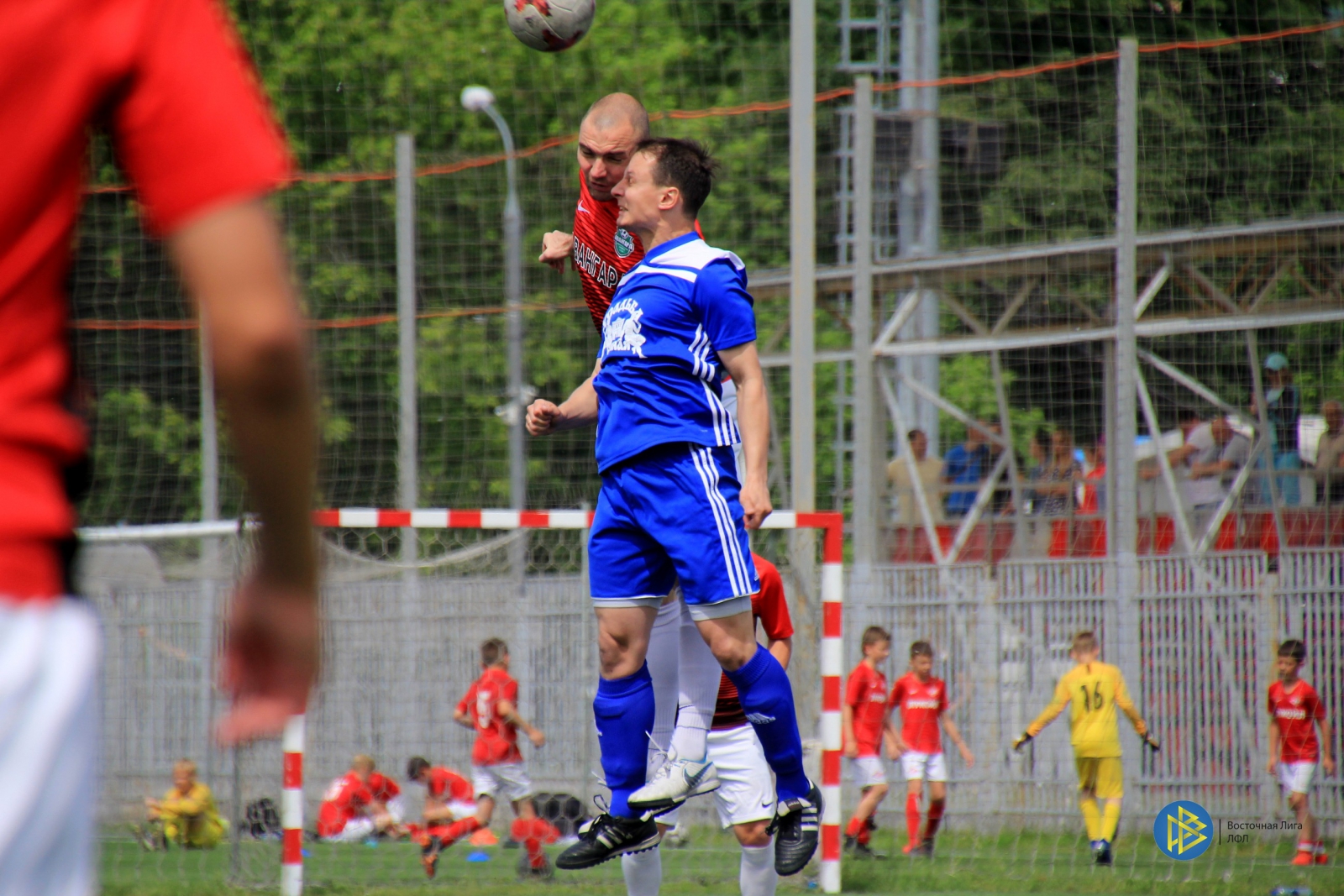 IMG_3672.jpg