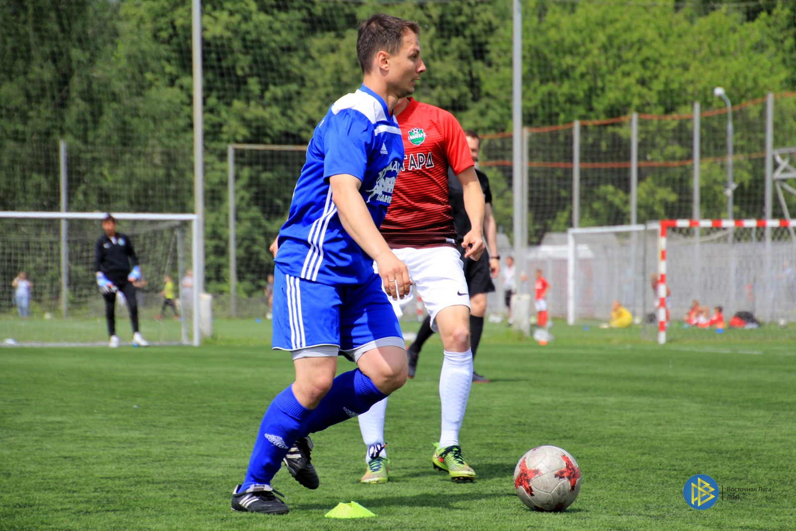 IMG_3685.jpg