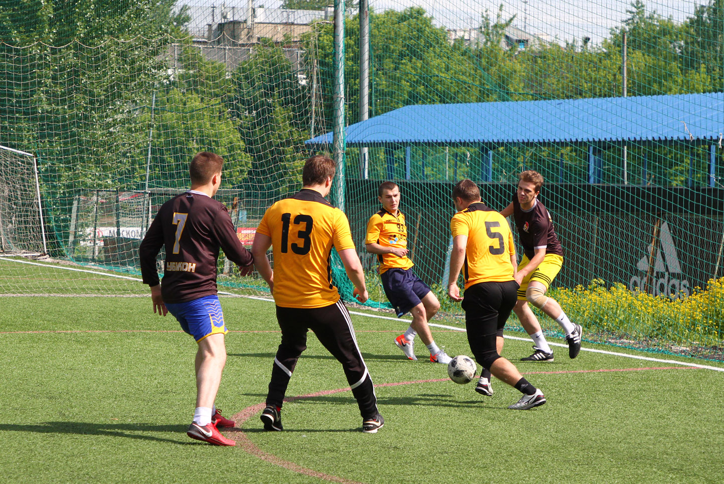 IMG 7636