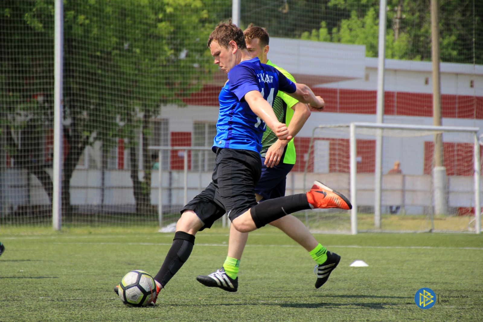 IMG_5395.jpg