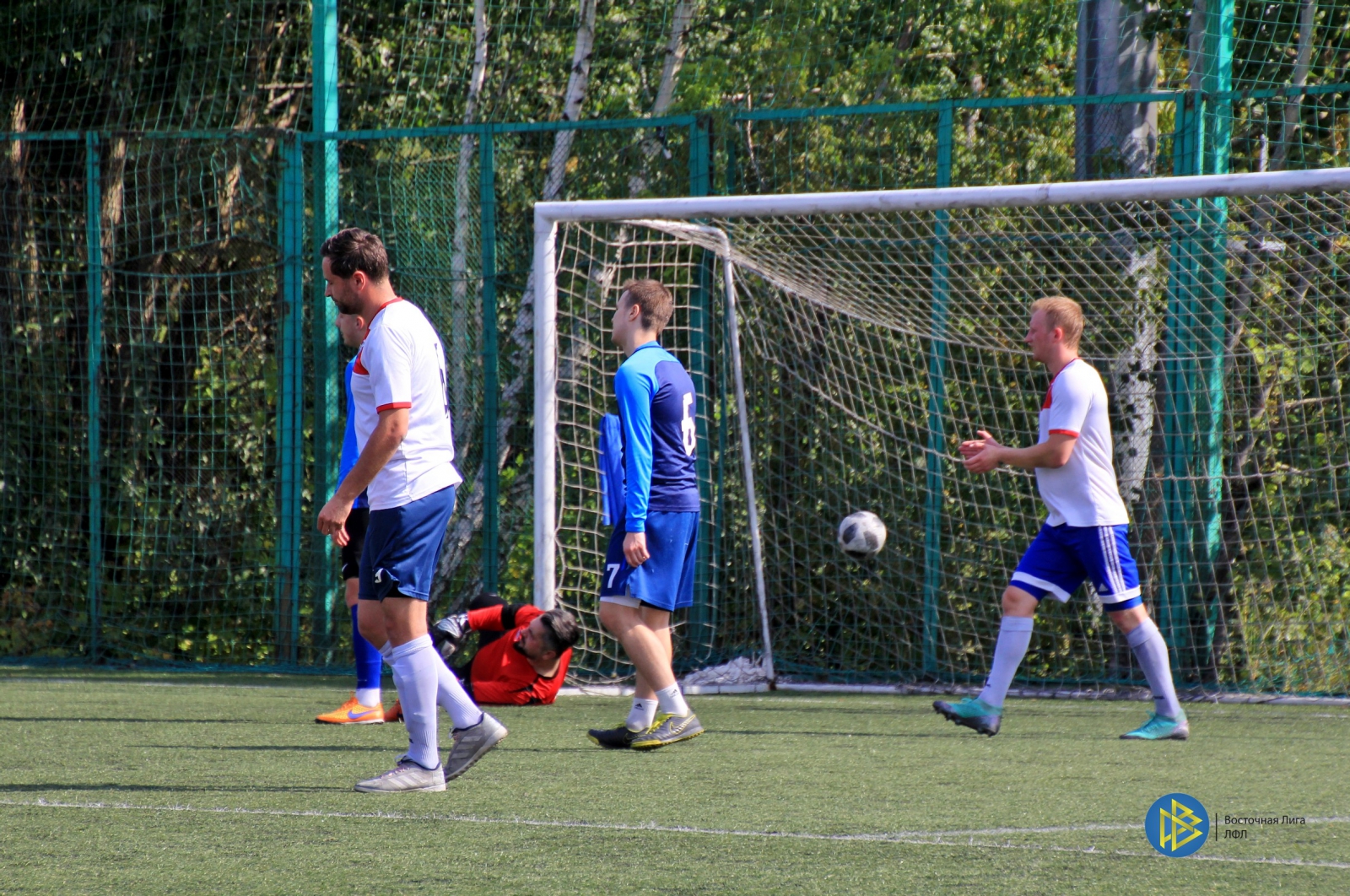 IMG_7328.jpg