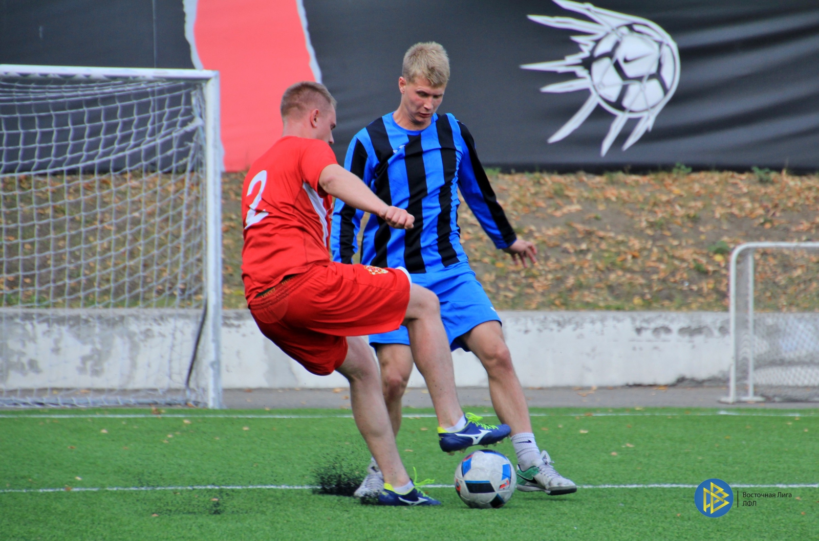 IMG_6981.jpg