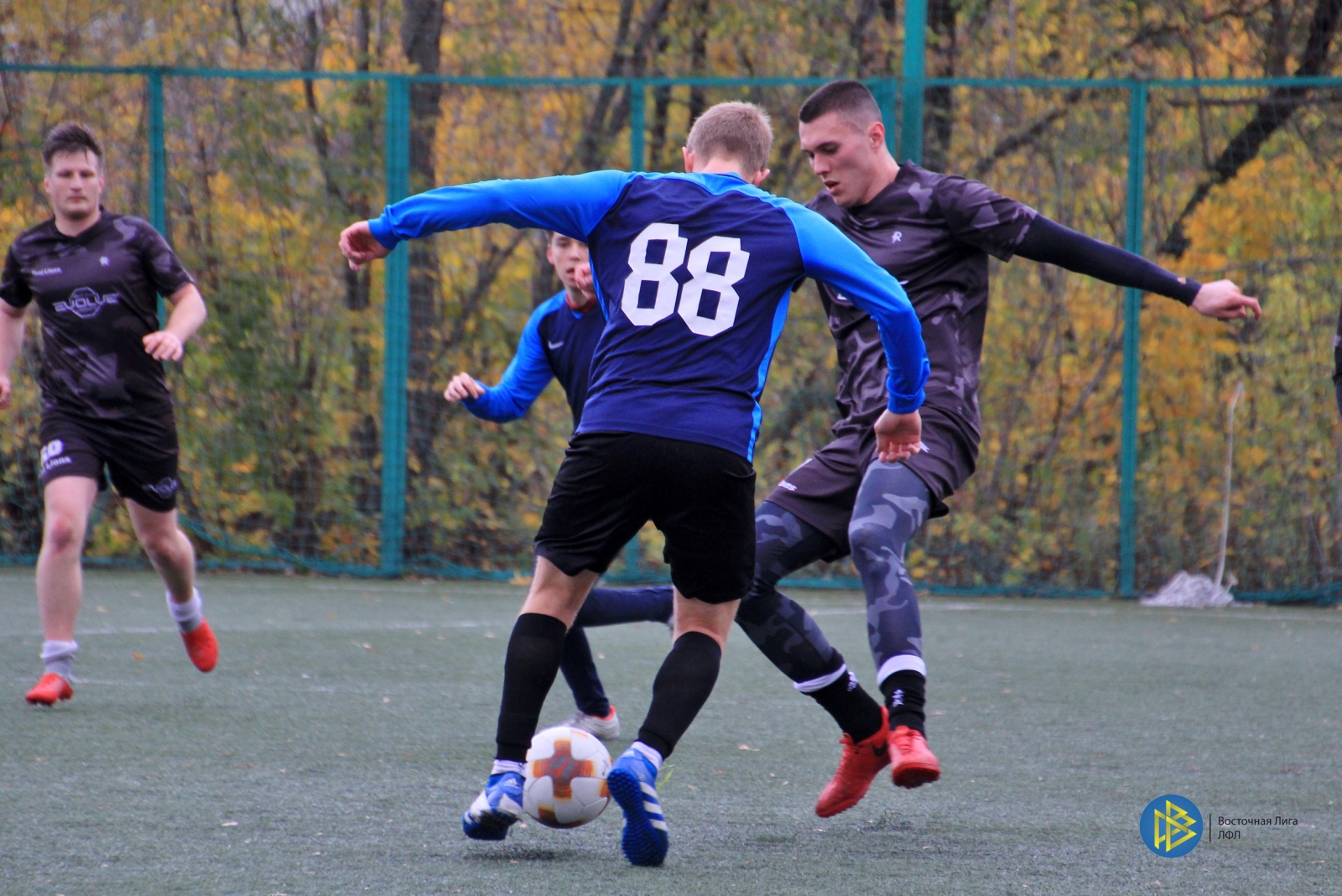 IMG_8951.jpg