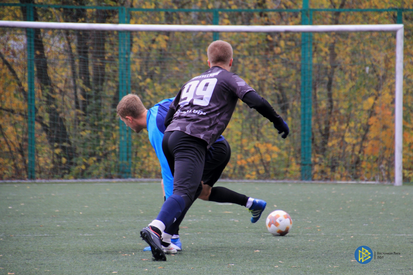 IMG_8906.jpg