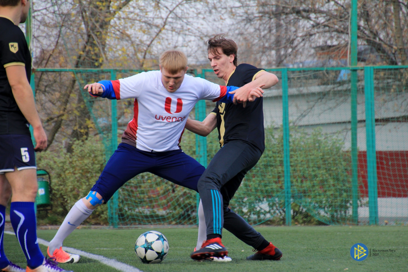 IMG_2667.jpg