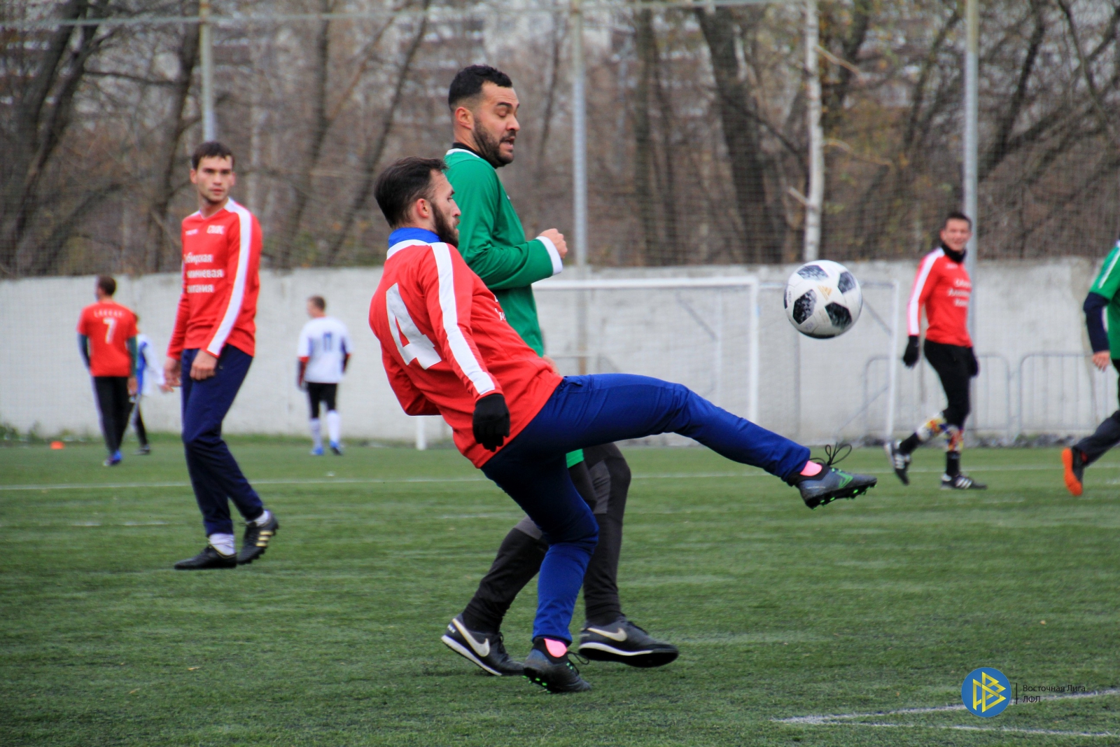 IMG_6772.jpg