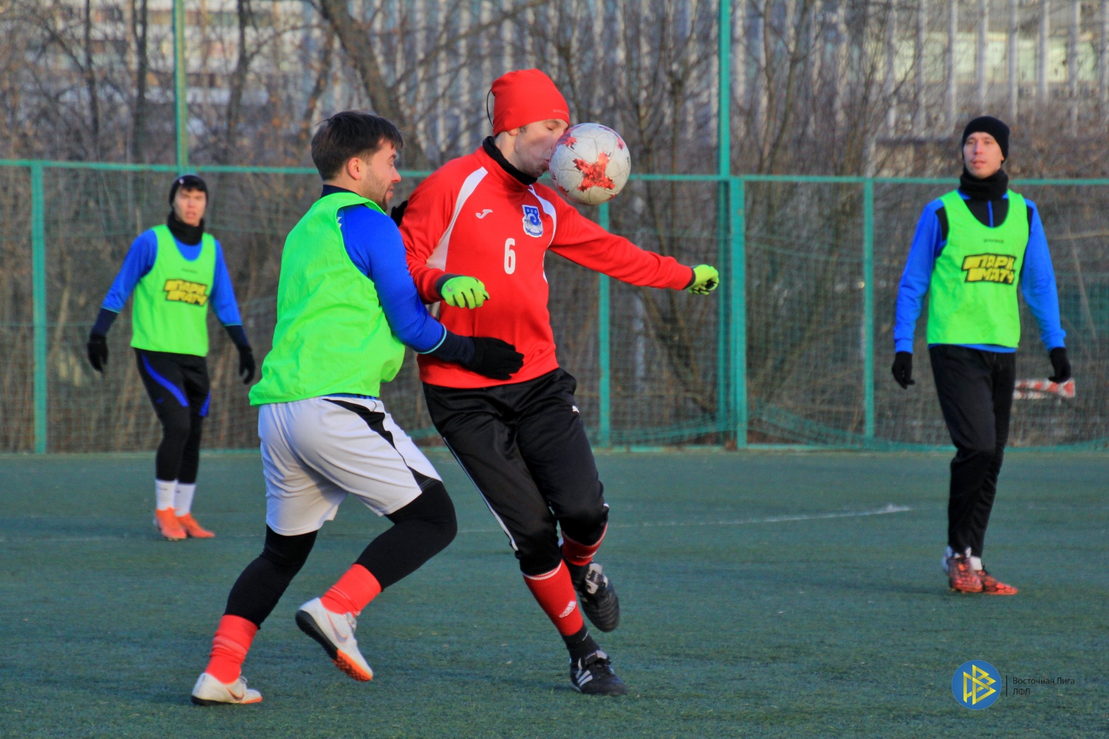 IMG_2542.jpg