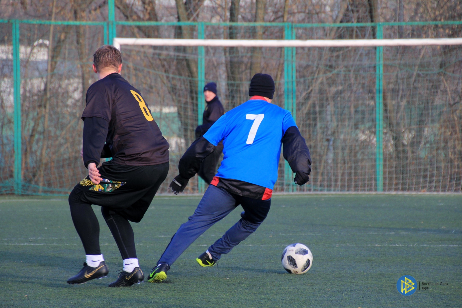 IMG_2280.jpg