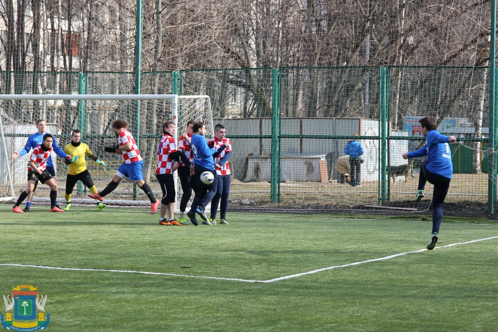 IMG_5678.jpg