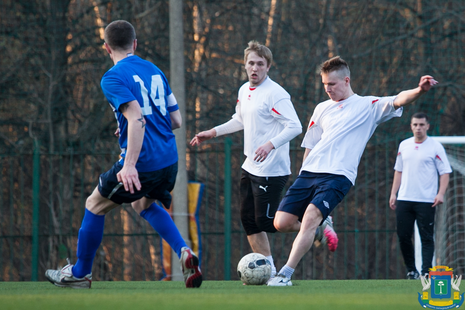 IMG_4231.jpg