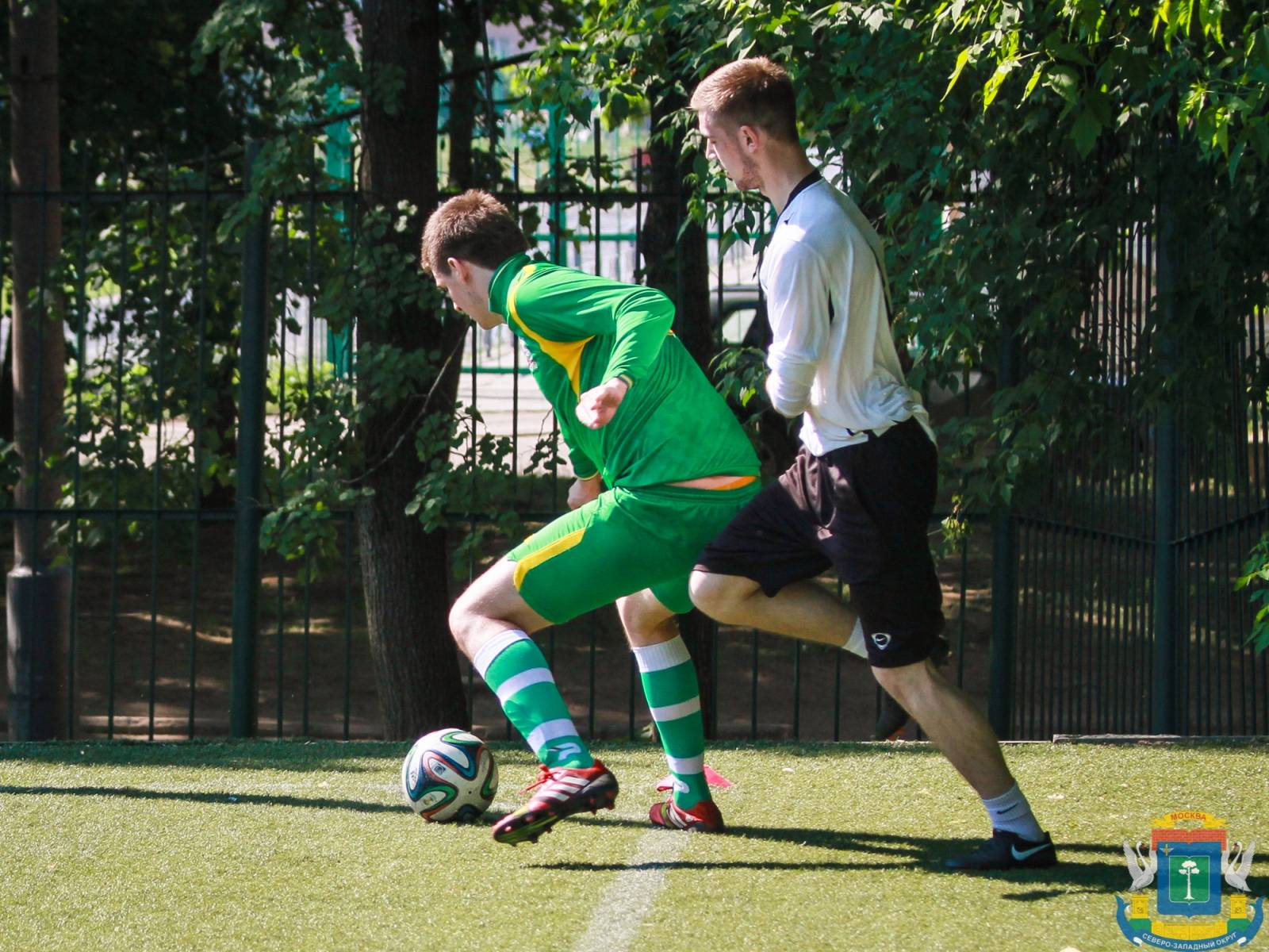 IMG_5786.jpg