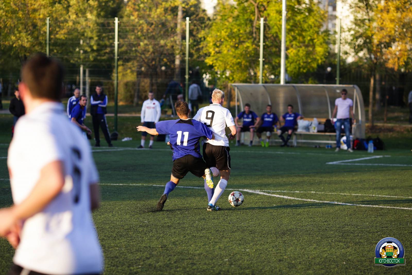 ALBA0466.jpg ALBA0466.jpg