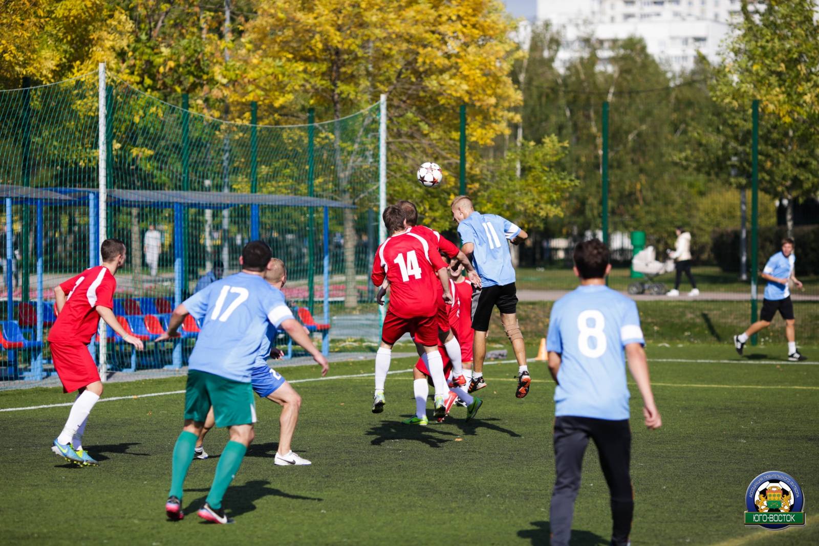 ALBA9996.jpg ALBA9996.jpg