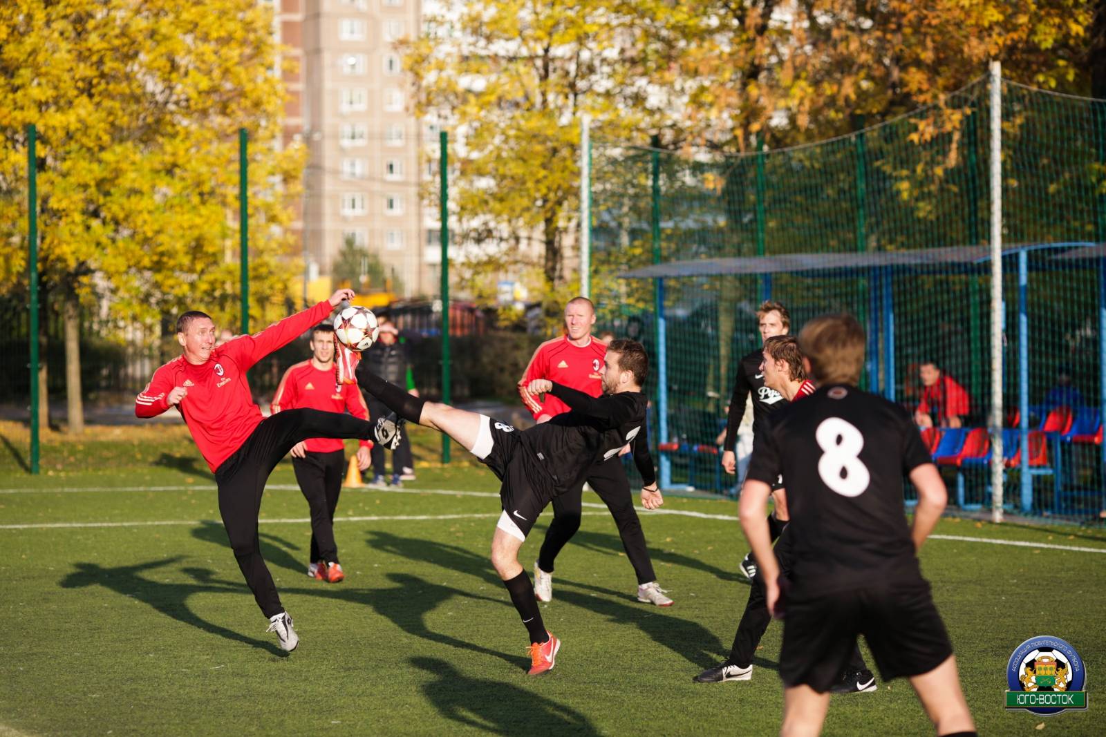 ALBA1507.jpg ALBA1507.jpg