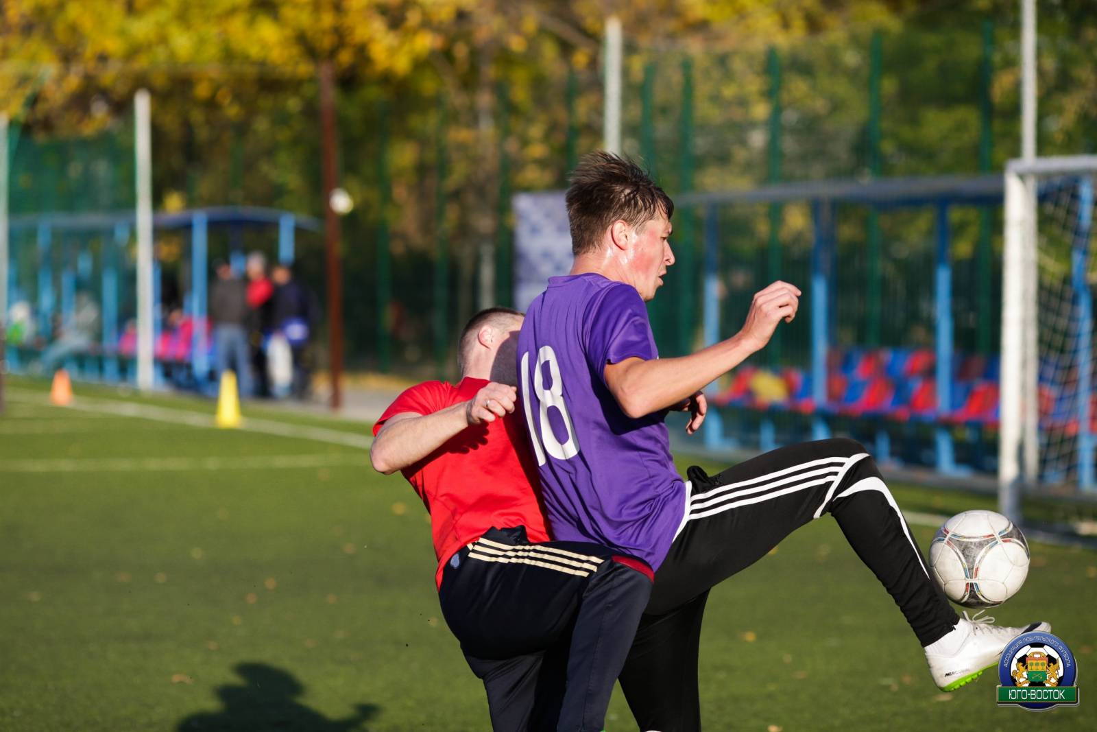 ALBA1484.jpg ALBA1484.jpg