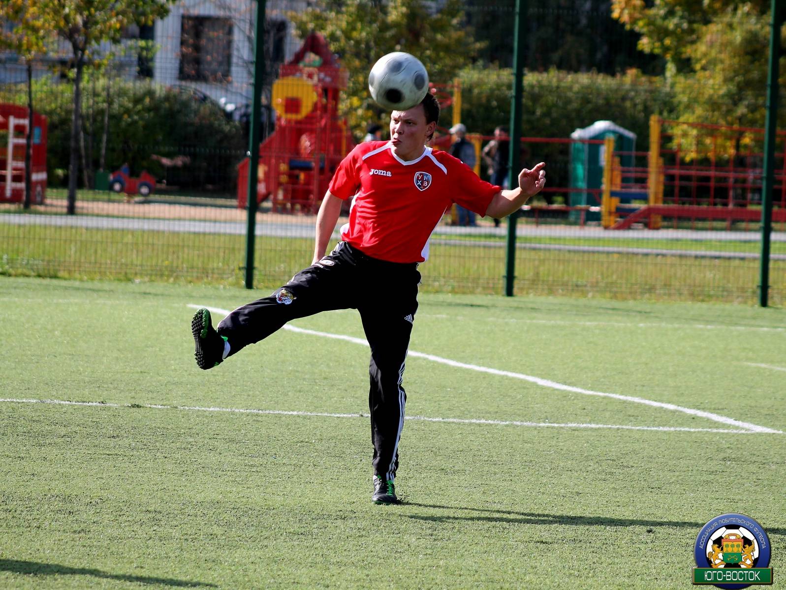 DPP_061.JPG DPP_061.JPG