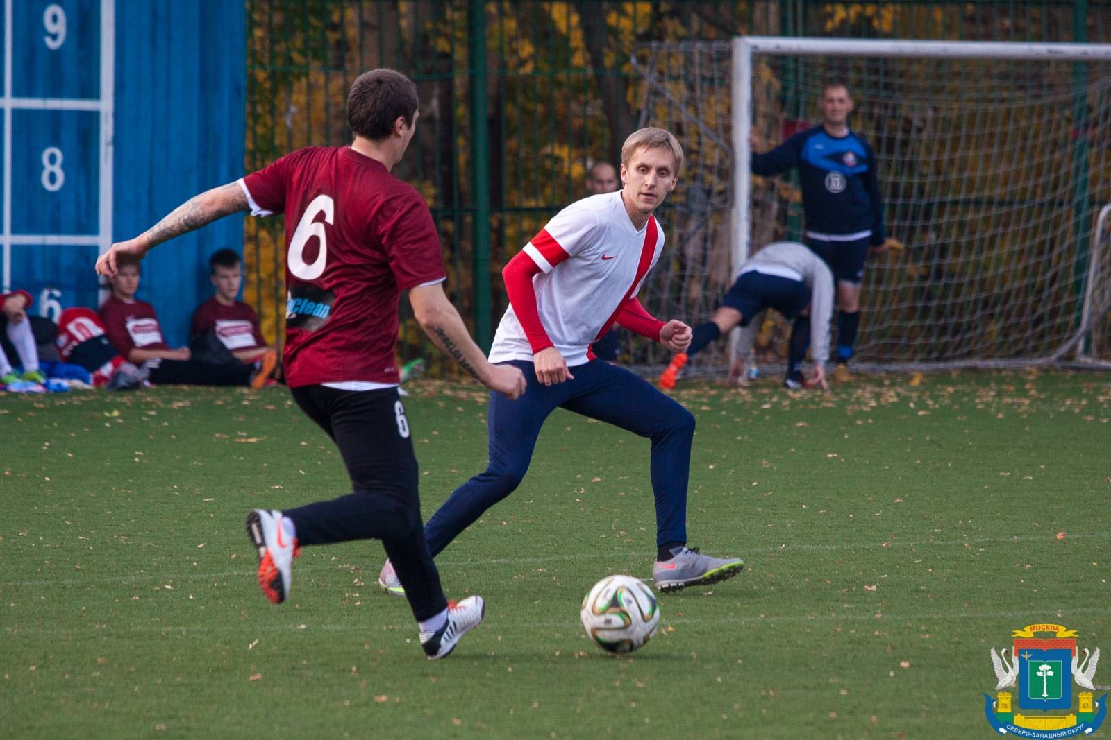 IMG_9955.jpg IMG_9955.jpg