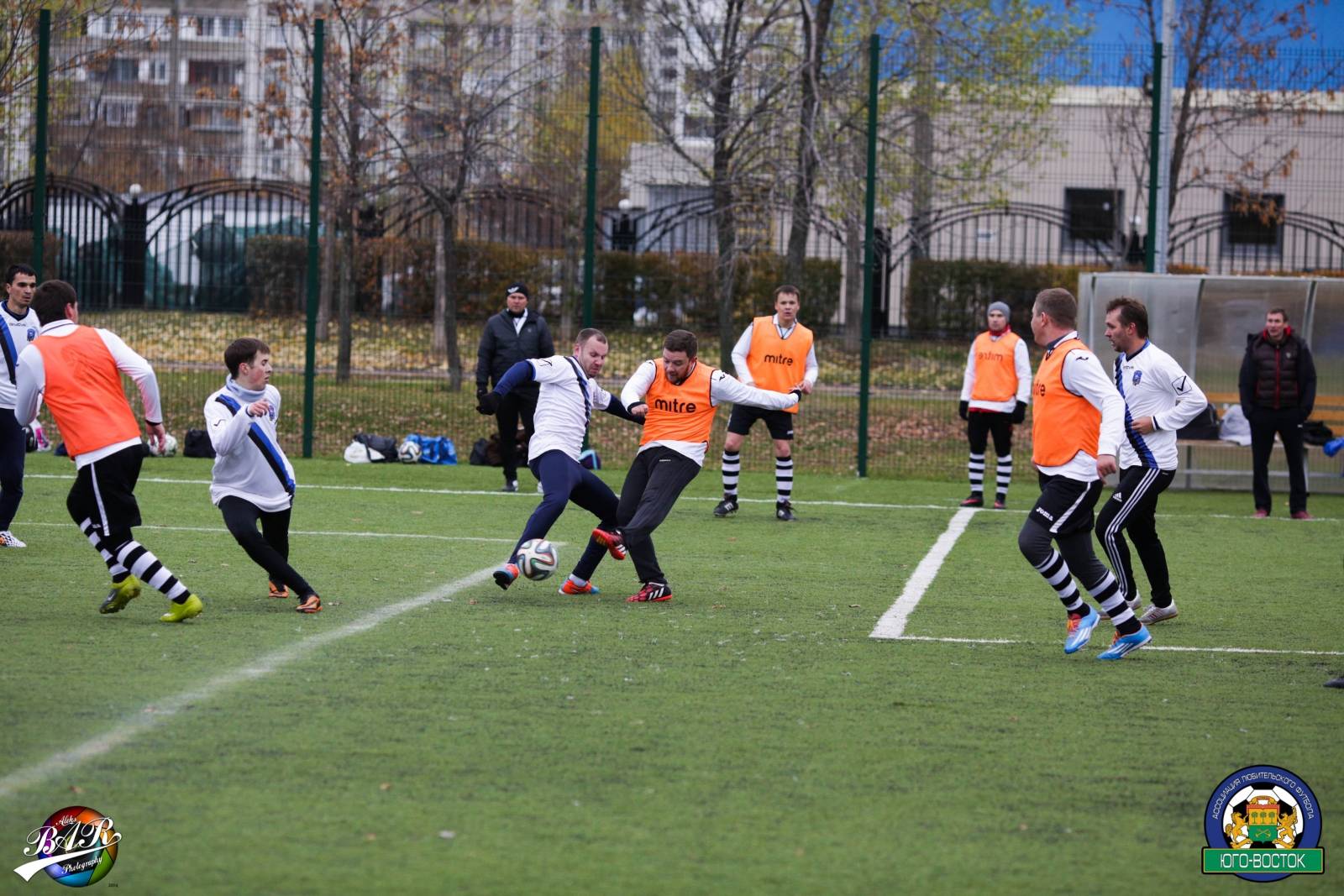 ALBA3917.jpg ALBA3917.jpg