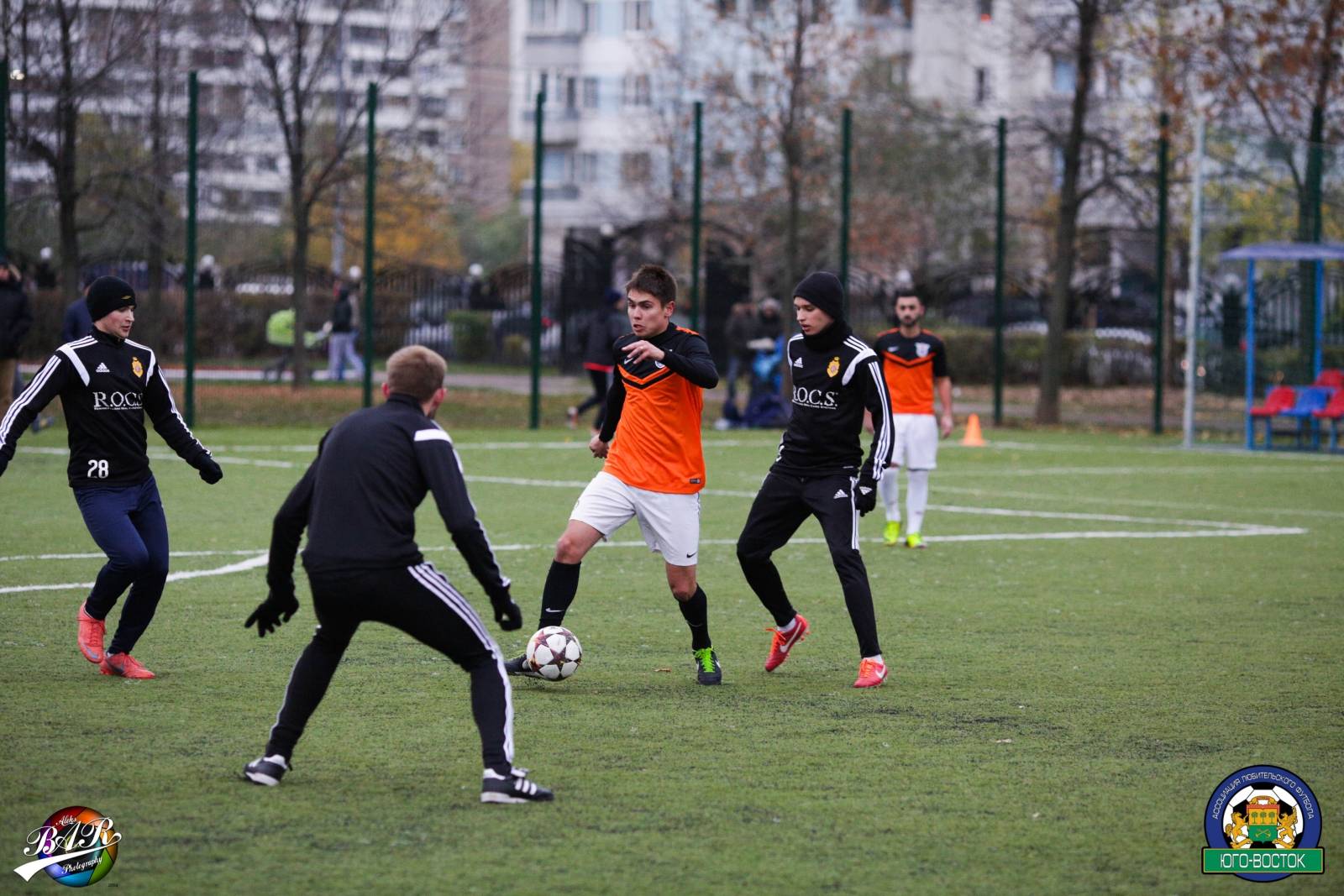 ALBA4275.jpg ALBA4275.jpg