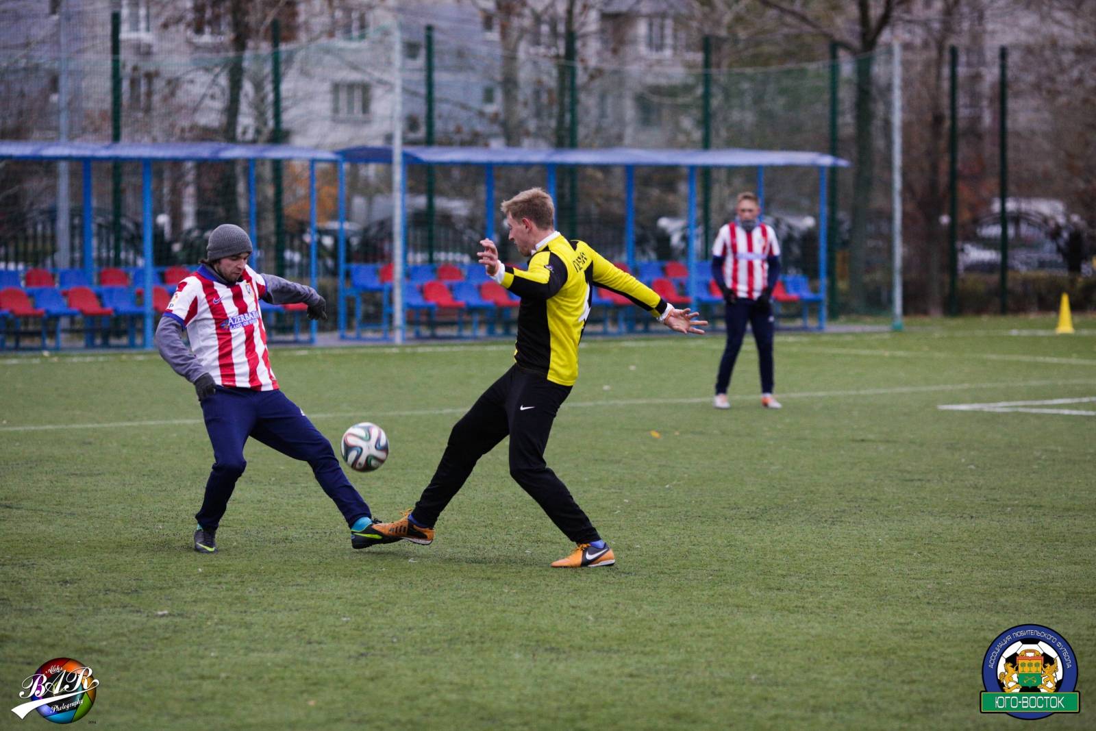 ALBA4283.jpg ALBA4283.jpg