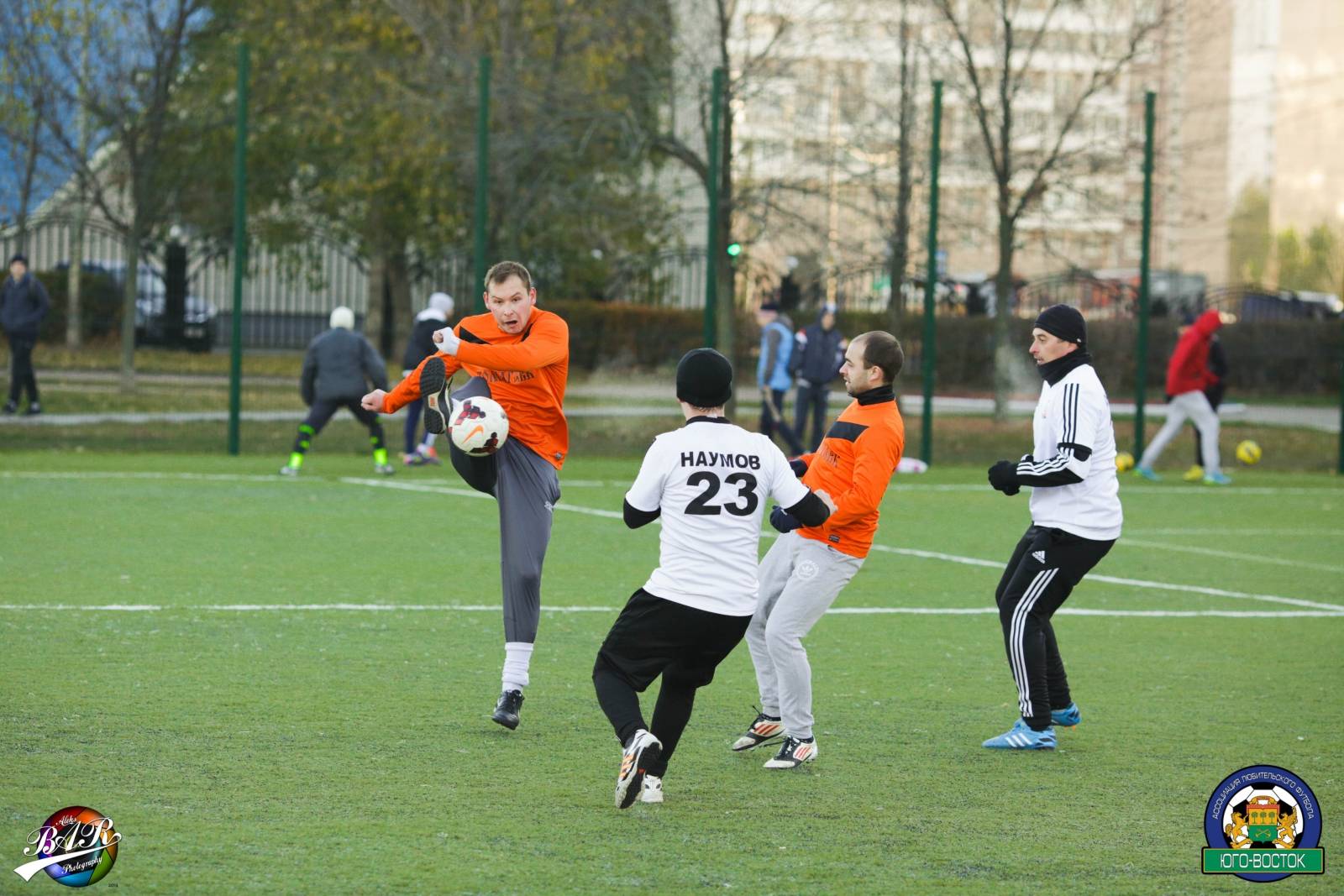 ALBA4388.jpg ALBA4388.jpg