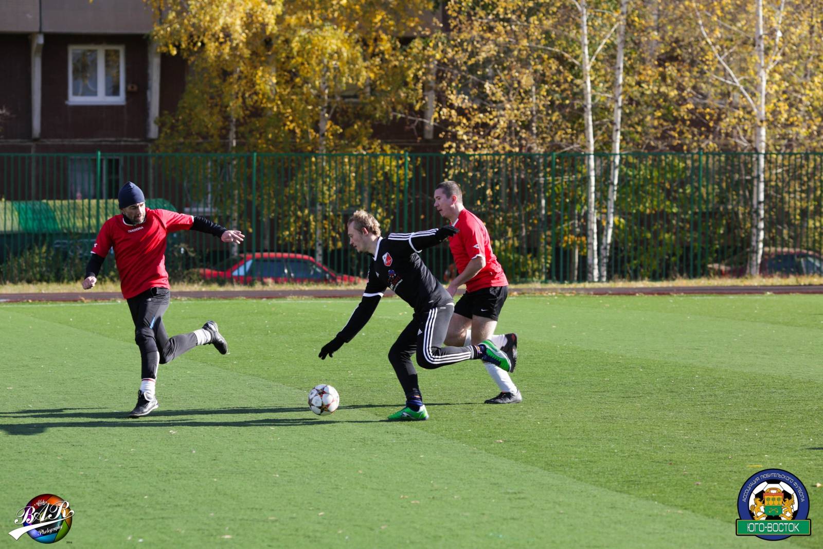 ALBA4521.jpg ALBA4521.jpg