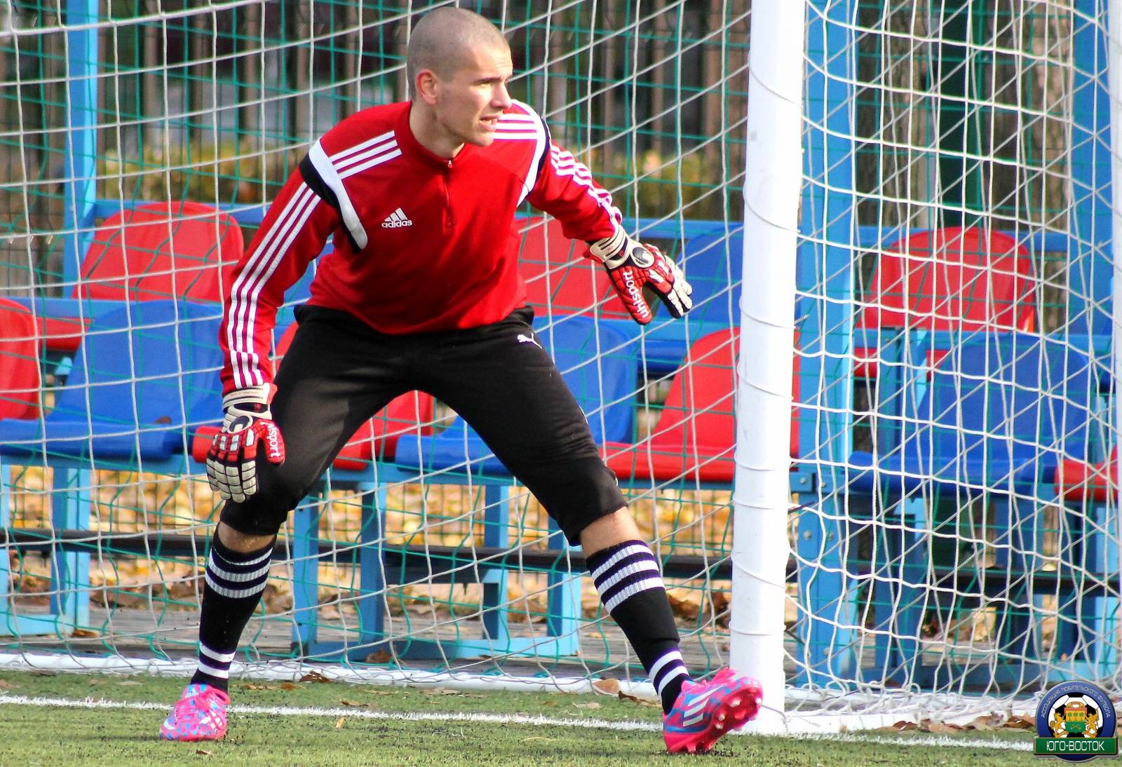 DPP_111.jpg DPP_111.jpg