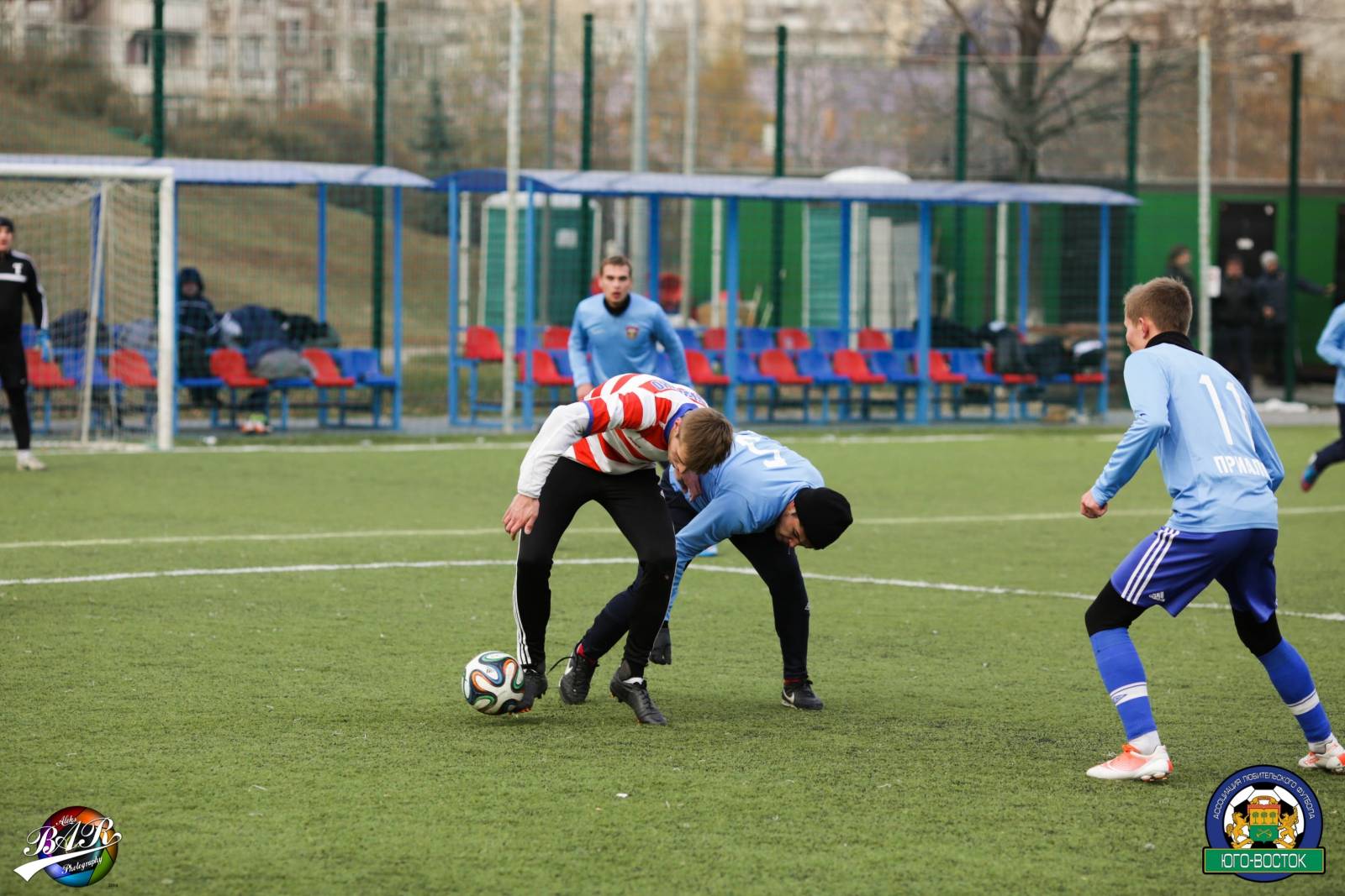 ALBA5067.jpg ALBA5067.jpg