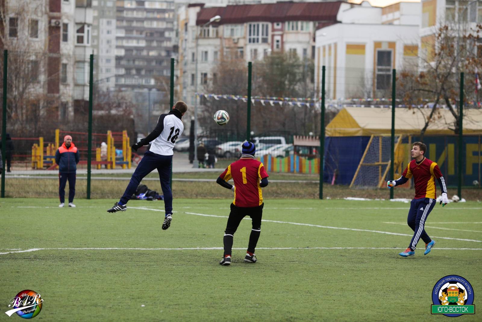 ALBA5181.jpg ALBA5181.jpg