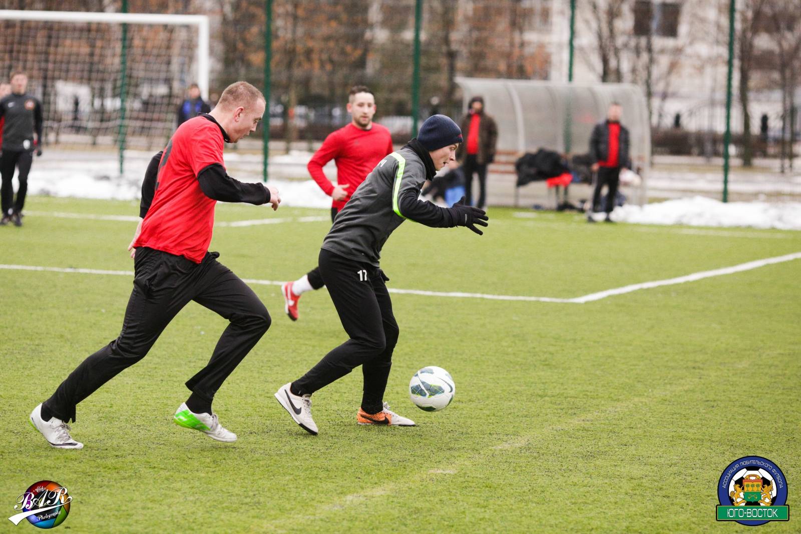 ALBA3639.jpg ALBA3639.jpg