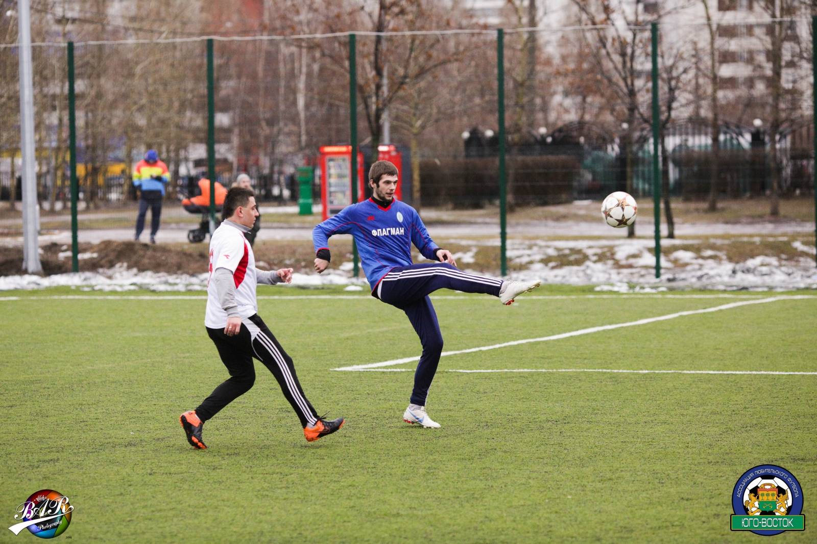 ALBA3736.jpg ALBA3736.jpg