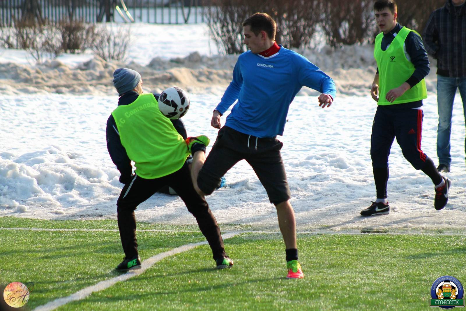 DPP_050-2.jpg DPP_050-2.jpg