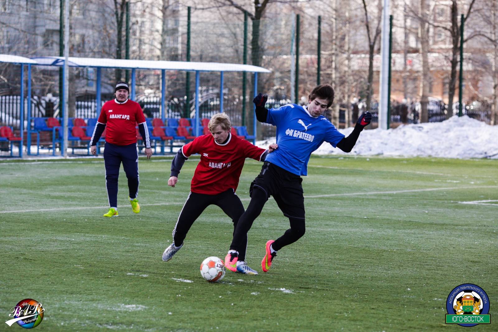 ALBA6020.jpg ALBA6020.jpg