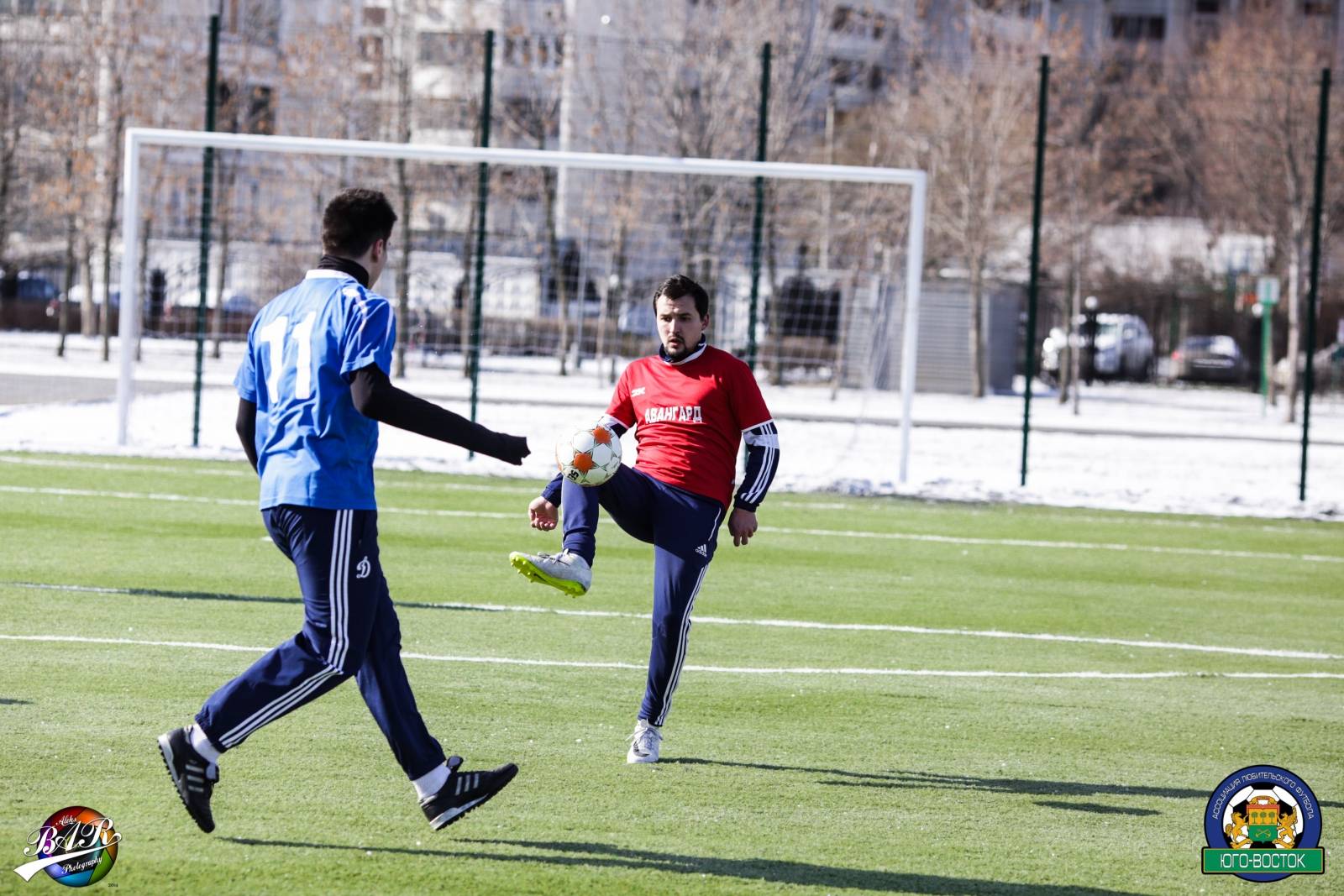 ALBA6028.jpg ALBA6028.jpg