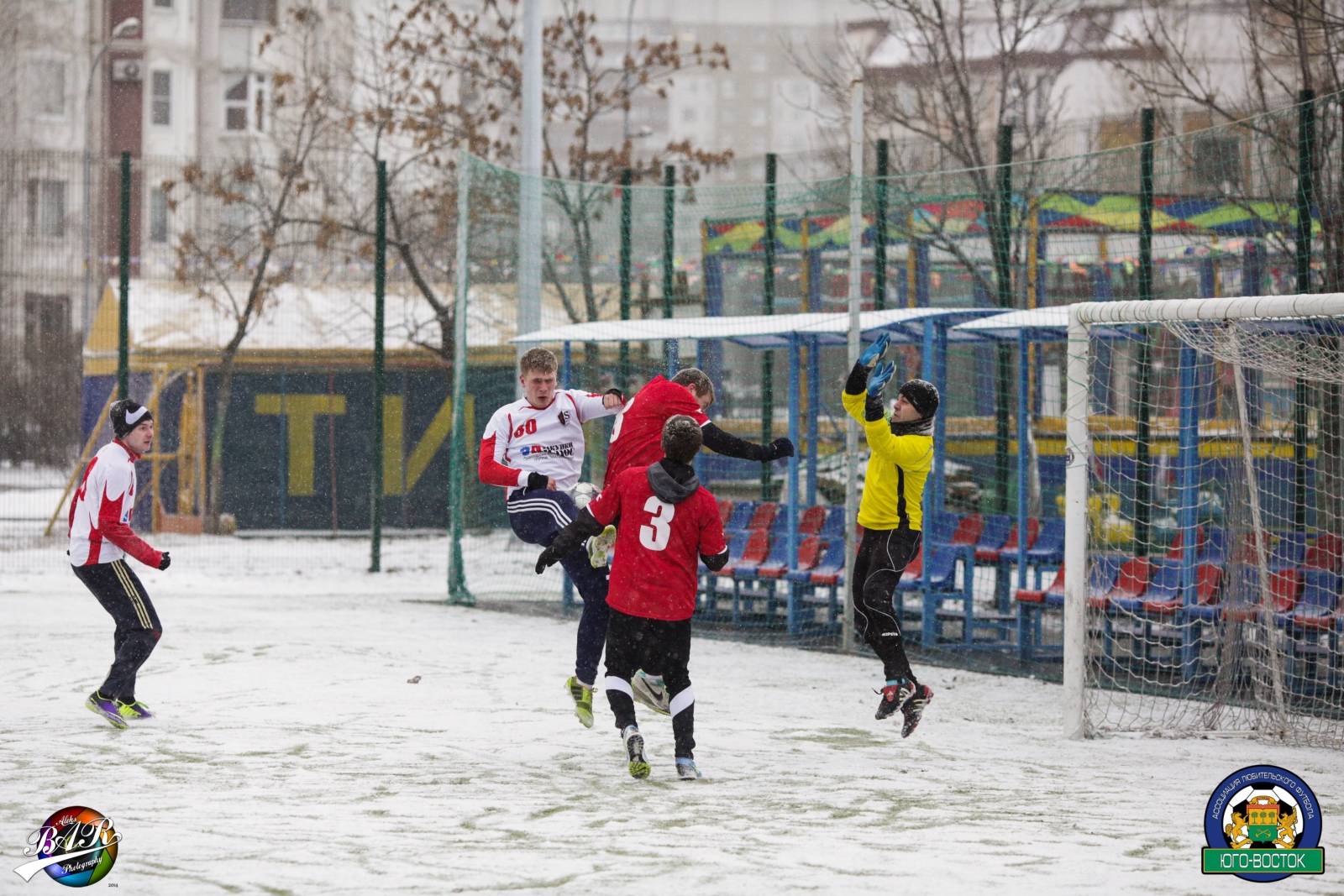 ALBA6147.jpg ALBA6147.jpg