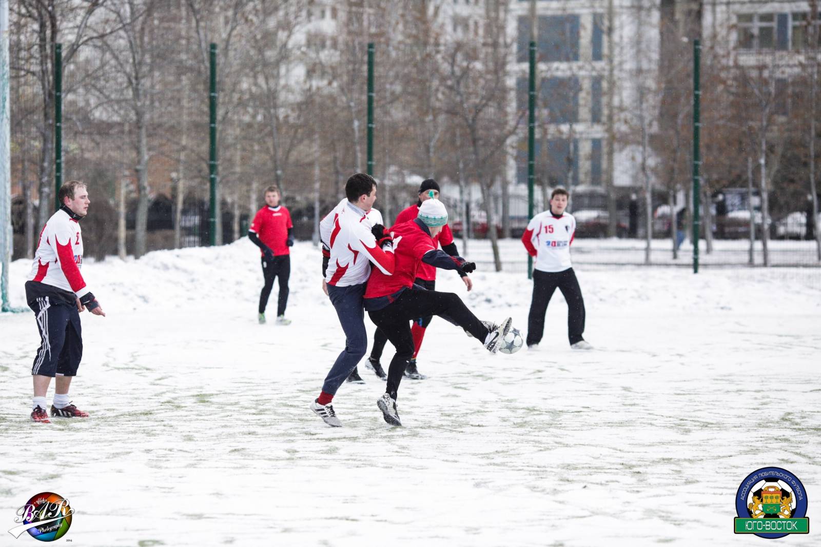 ALBA6153.jpg ALBA6153.jpg