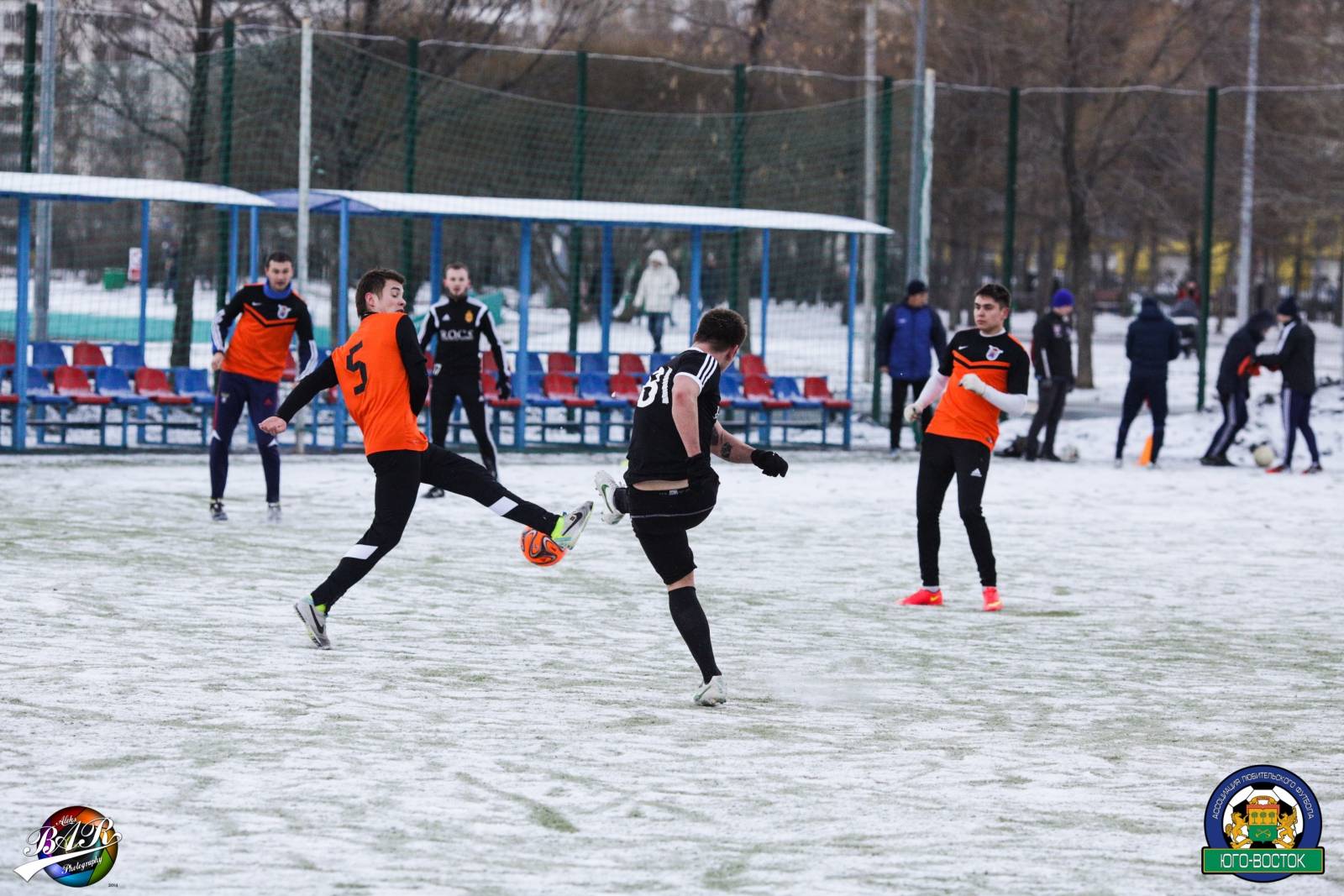 ALBA6231.jpg ALBA6231.jpg