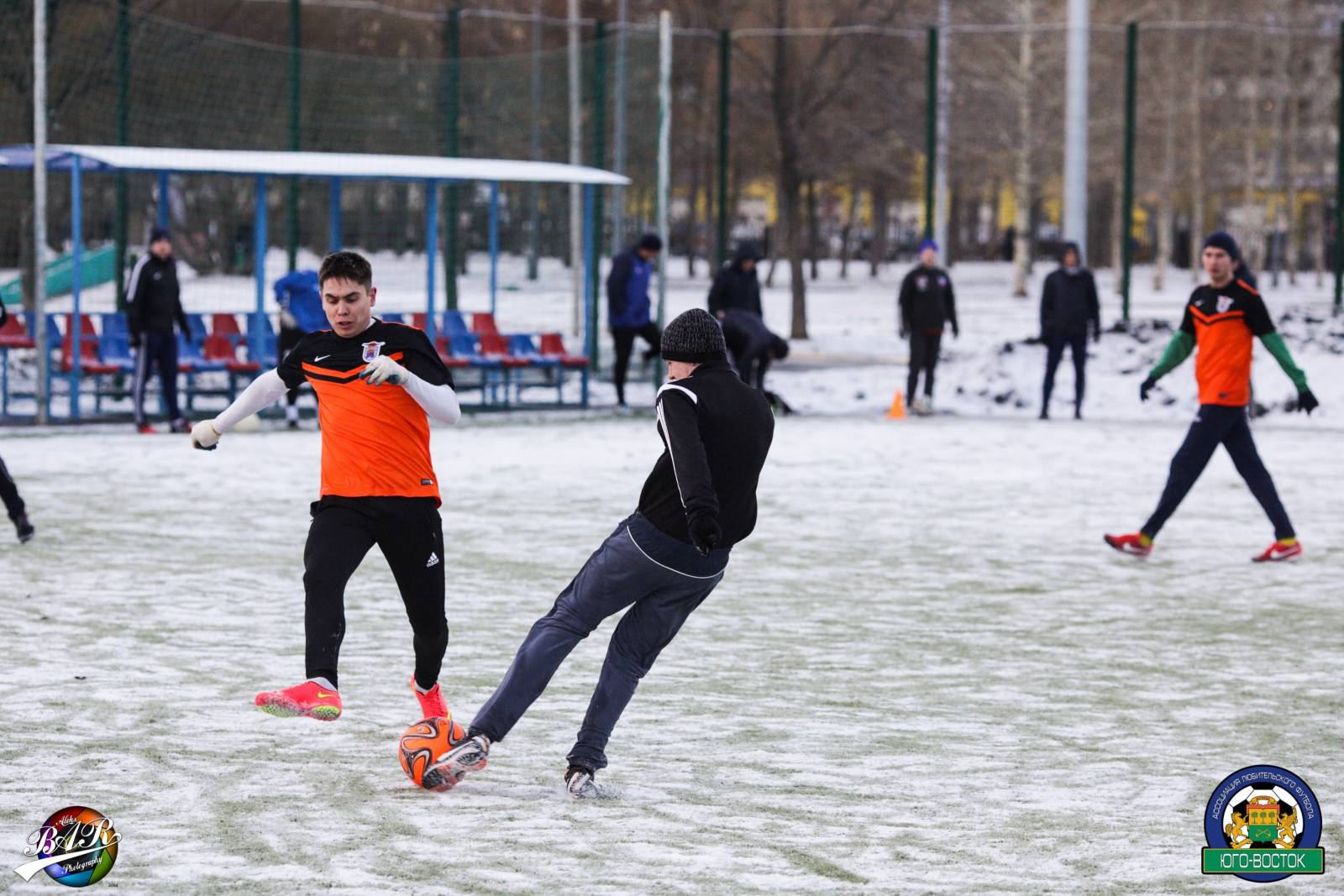 ALBA6237.jpg ALBA6237.jpg