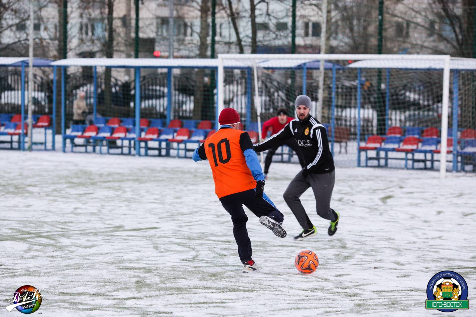 ALBA6235.jpg ALBA6235.jpg