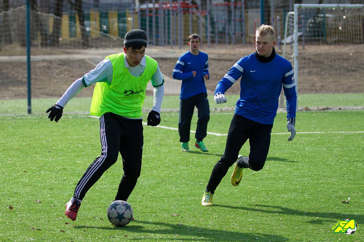 SPR 6669 Small SPR 6669 Small