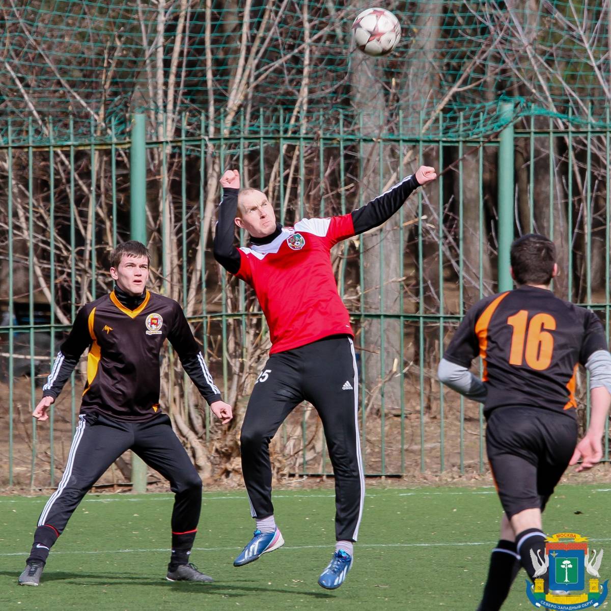 IMG 6486 2 IMG 6486 2