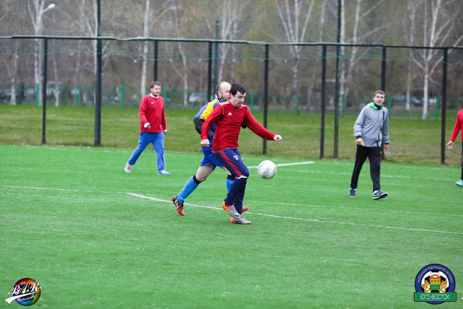 ALBA9964.jpg ALBA9964.jpg